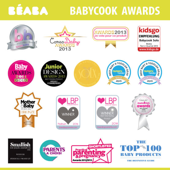 Robot Beaba Babycook Solo Dark Grey B912794
